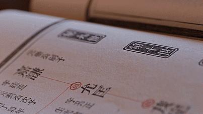 家谱关系图近代,家谱记载内容