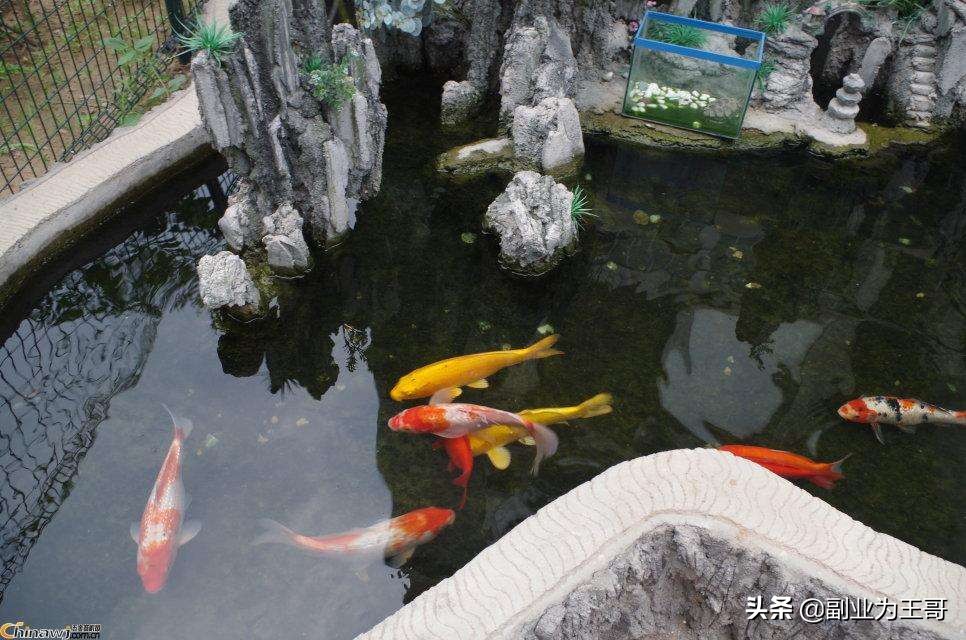 微商赚钱还是电商赚钱,做微商挣钱不