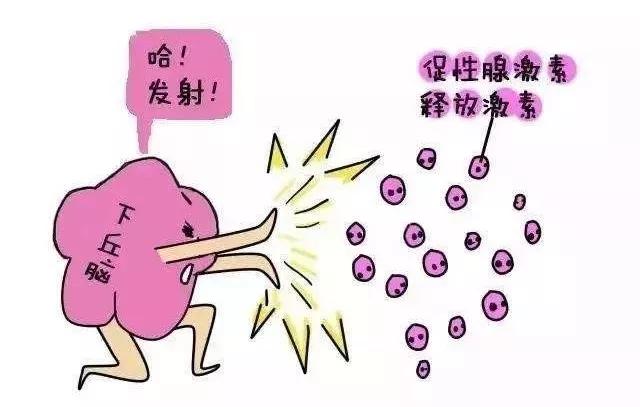 试管婴儿七大步骤,试管婴儿几大攻略助孕提高成功率