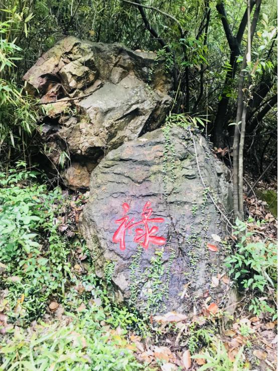 起缘聚文化产业发展有限公司,起缘聚文化联盟平台