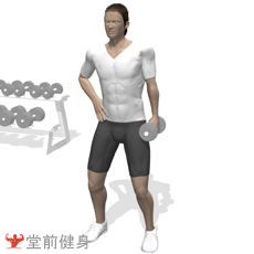 一周4练健身计划,4分化训练怎么安排一周计划