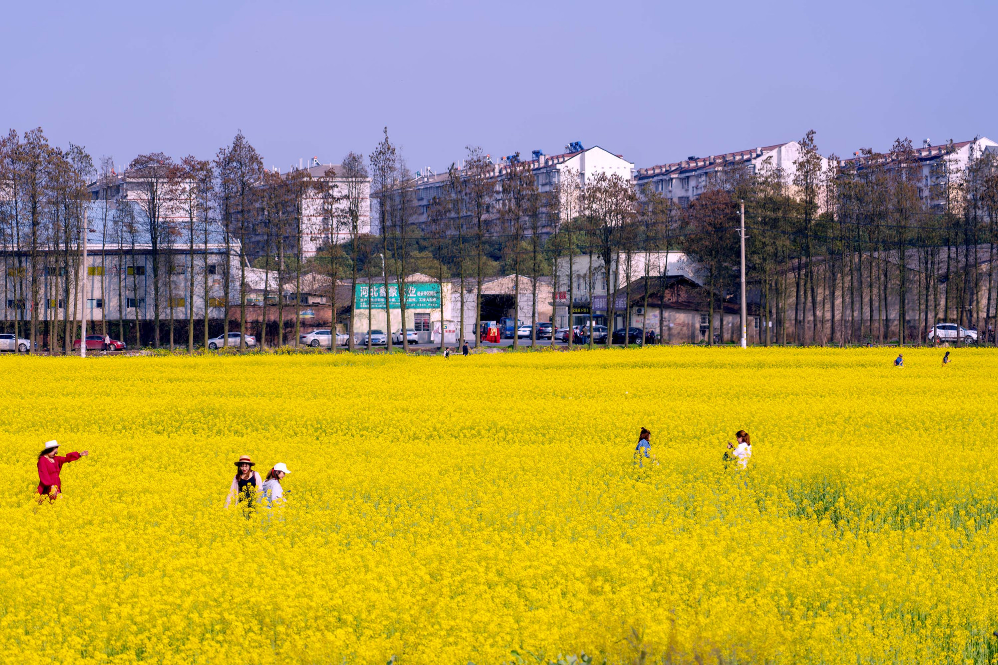 怎样用好35mm1.4光圈的镜头,最好的16-35mm镜头