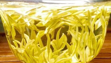 品杭州西湖龙井茶,品西湖龙井茶感受