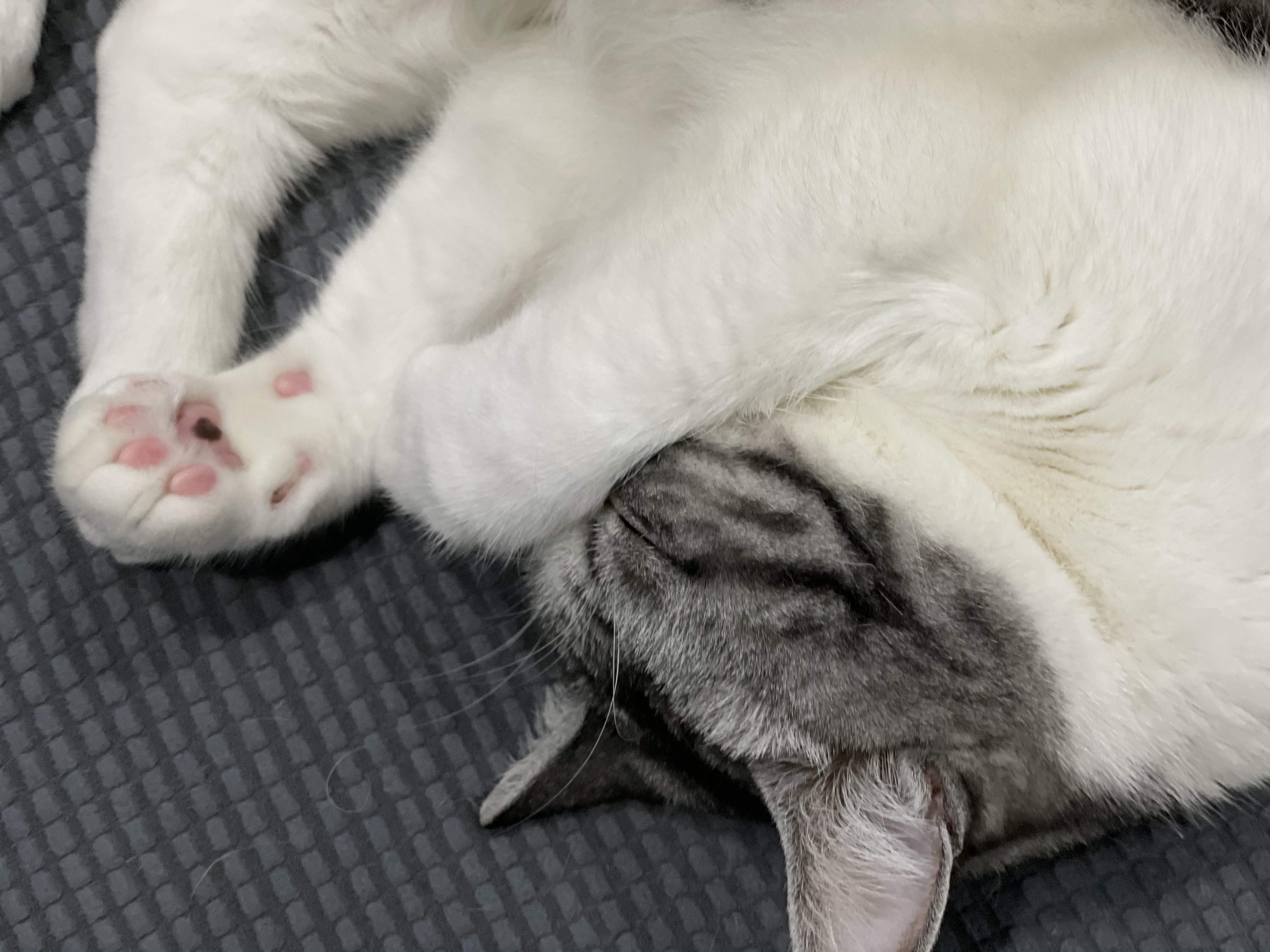 短线交易如何提高胜率,五个方法教你调整心态