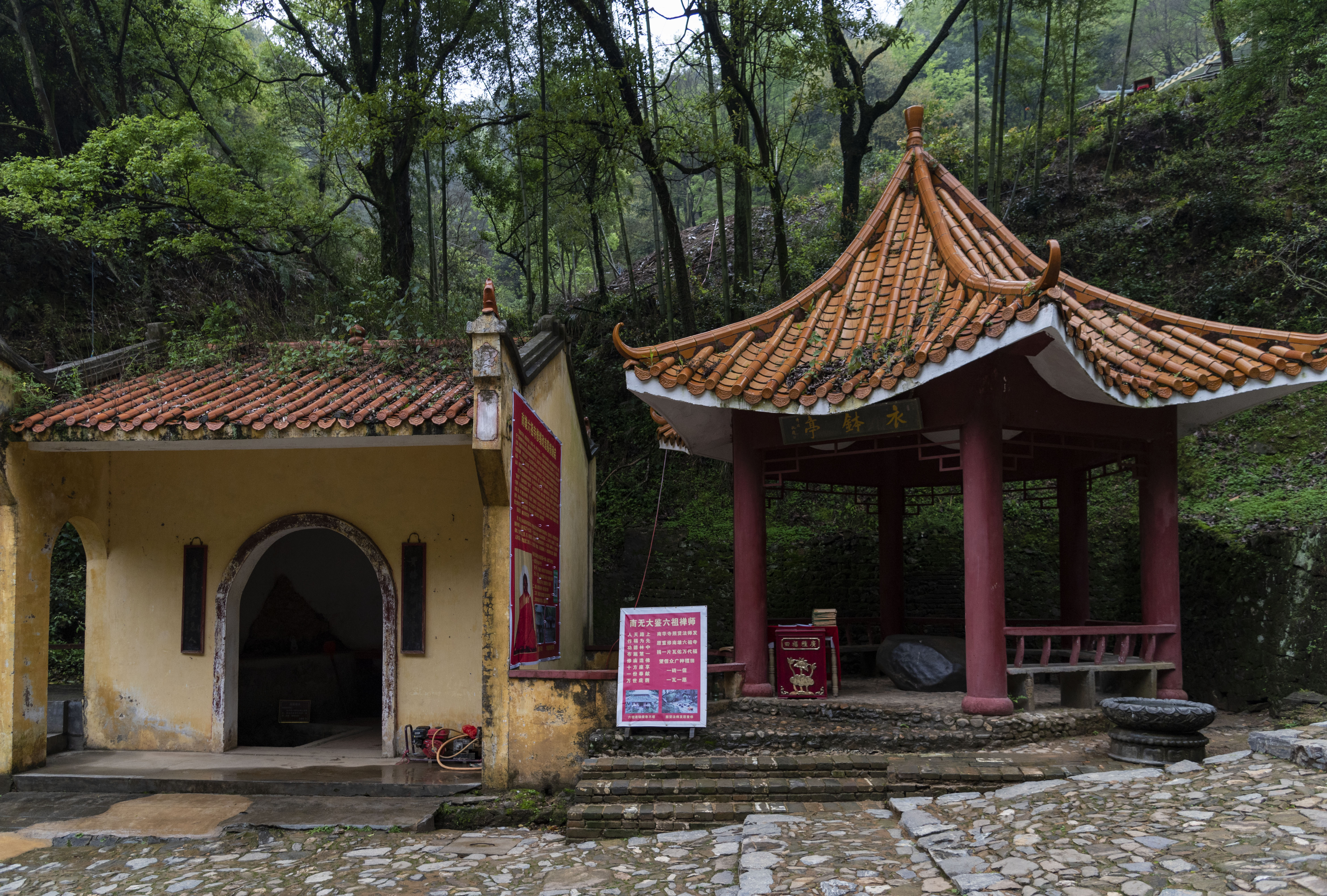 出身寒苦目不识丁的惠能，何以被毛主席赞为“中国佛教的始祖”？