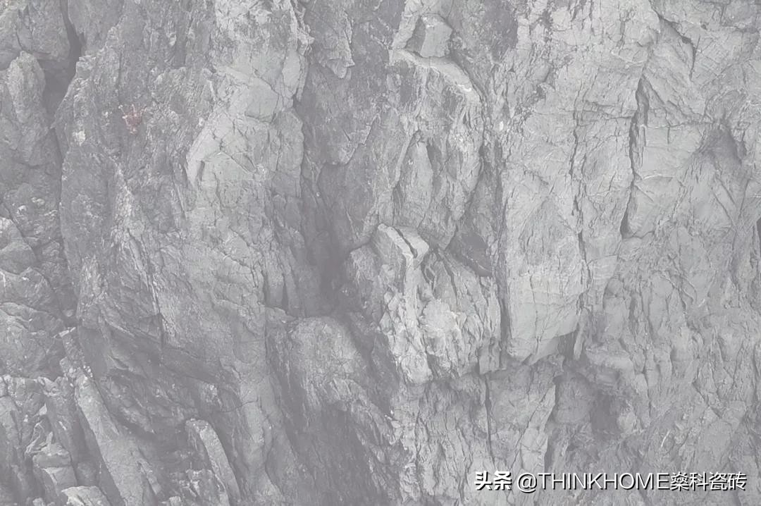 s-class都有什么车型,s-class特别版