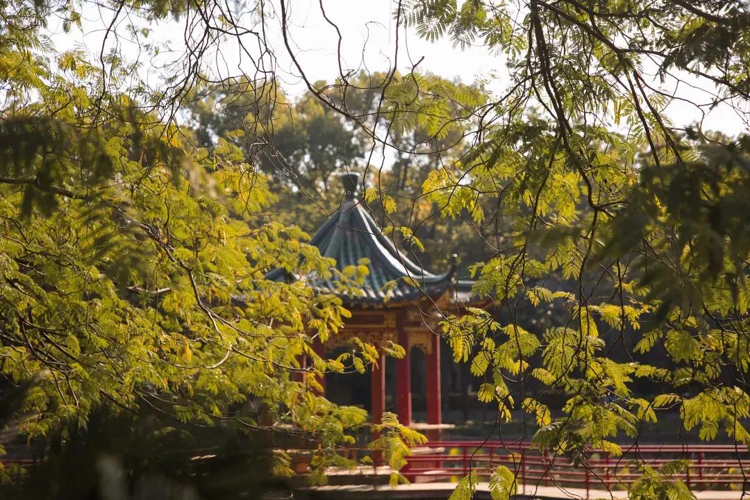 安徽13所一本大学名单,安徽省高校简介