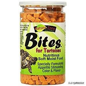 红腿陆龟喂什么龟粮,陆龟兄弟龟粮