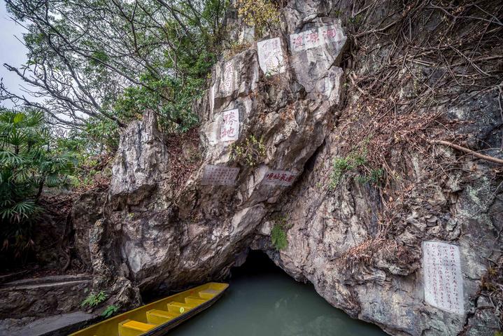 星湖冬日燃情，比落羽杉还要红的是什么？#我和湿地有个约会#