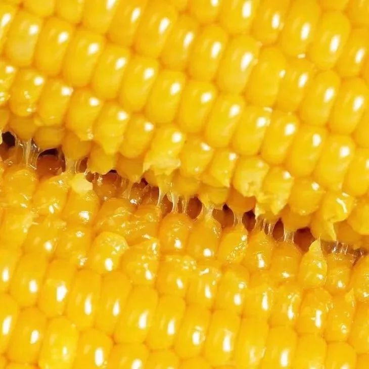 买玉米时，别只看大小颜色了，知道这5种特点，是甜是粘自己选