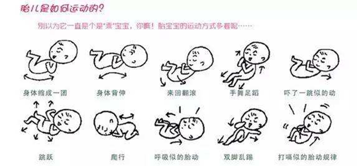 胎动怎么看孕妇如何正确辨识胎动,孕期在家正确数胎动的方法