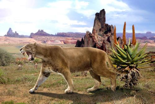 这种上古与人同葬的动物,还能帮你减肥、长寿?