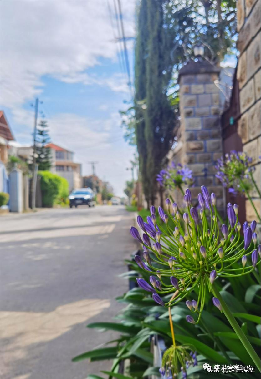 浜氱殑鏂簹璐濆反椋庢櫙,浜氱殑鏂簹璐濆反鏅偣鍥剧墖