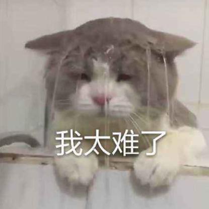 微软精英手柄和普通手柄,八位堂xbox手柄和微软手柄