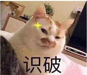 怎样判断铲屎官好坏,铲屎官的鉴定方法视频