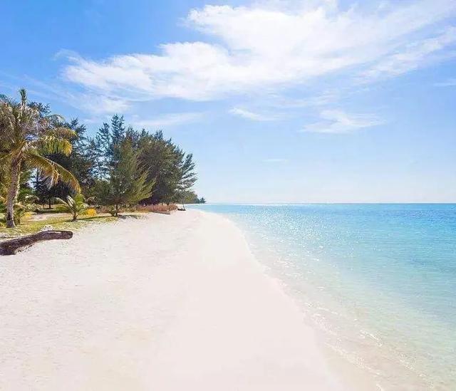 珠海有什么美食攻略值得推荐,珠海旅游有什么好吃的美食