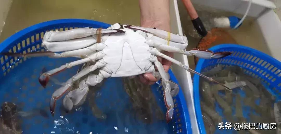 梭子蟹价格20元一斤购买,今年梭子蟹6-8两多少钱一斤