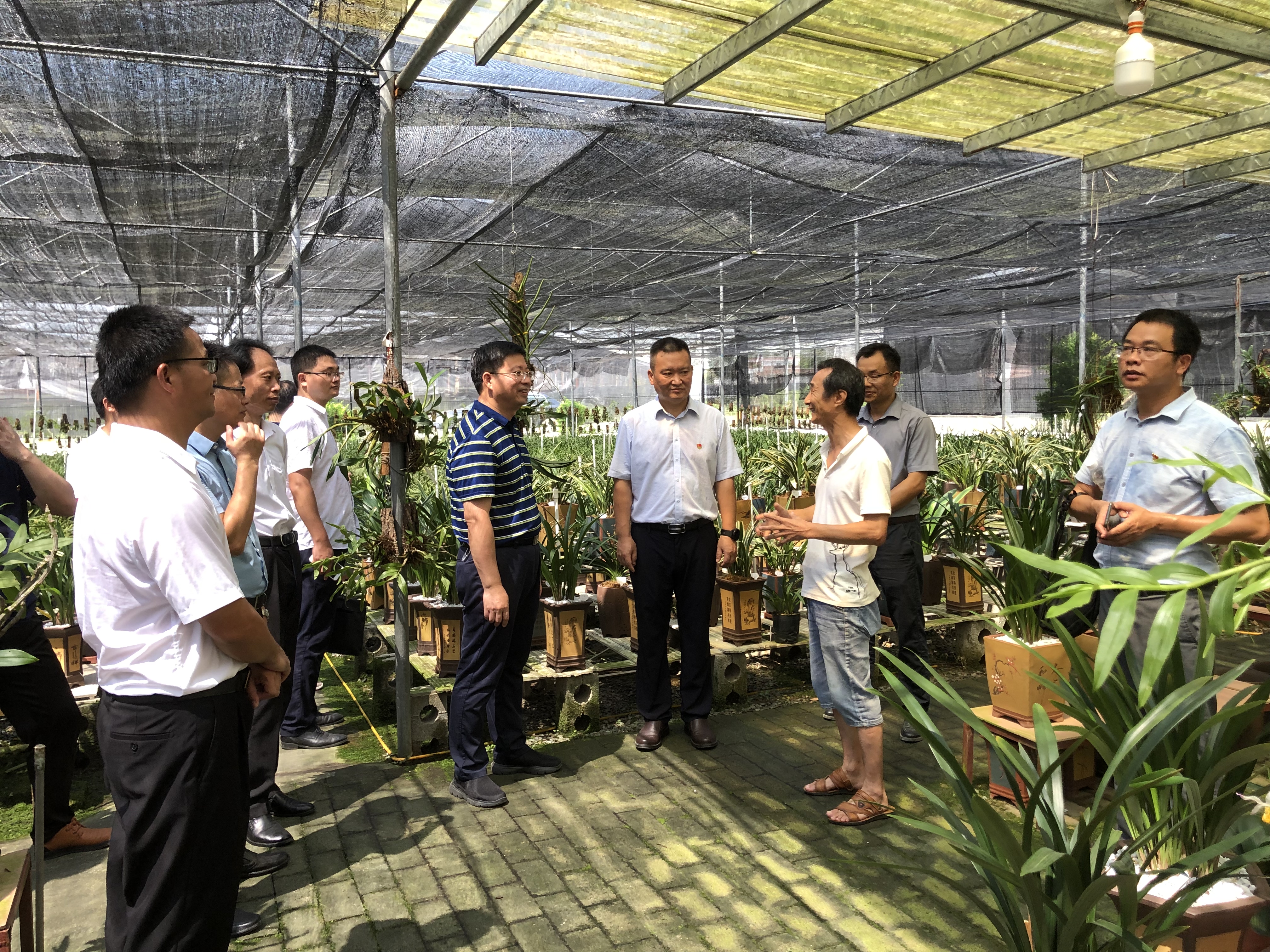 川台企业70条政策,助力台企发展的经验启示