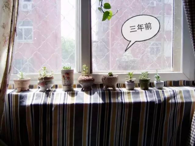 梦想改造家小户型,农村庭院改造效果图大全