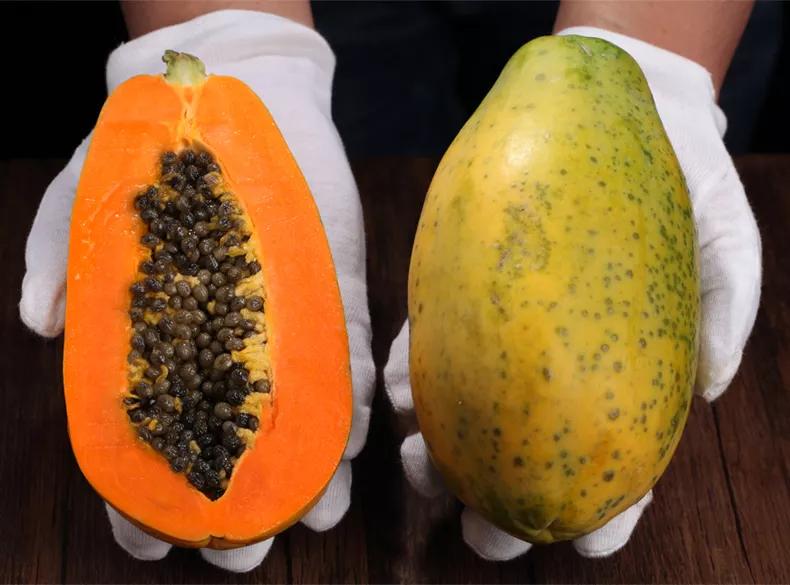 云南奶油红心木瓜,正宗爆甜云南红心木瓜