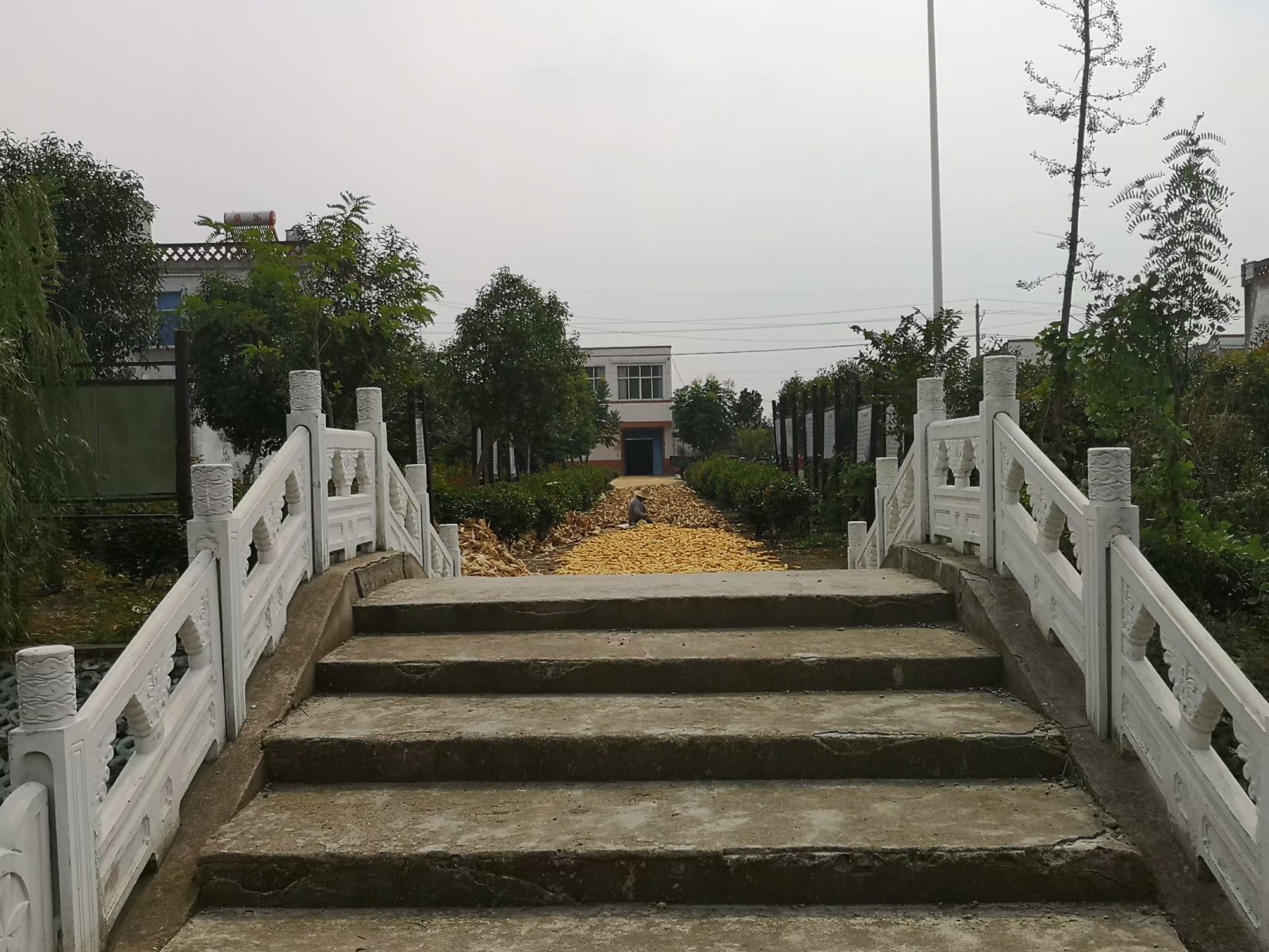 俞伯牙墓为什么在固镇,俞伯牙墓出土