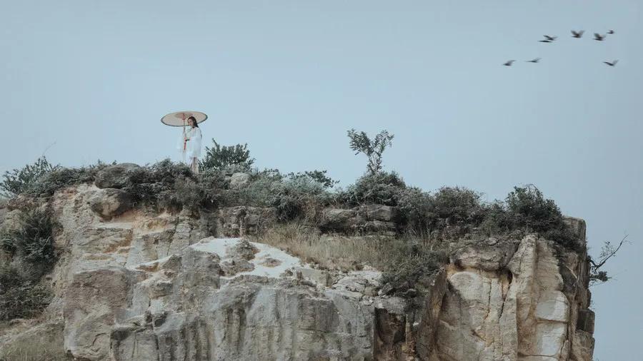 隐忍待发深度好文,取舍深度好文推荐