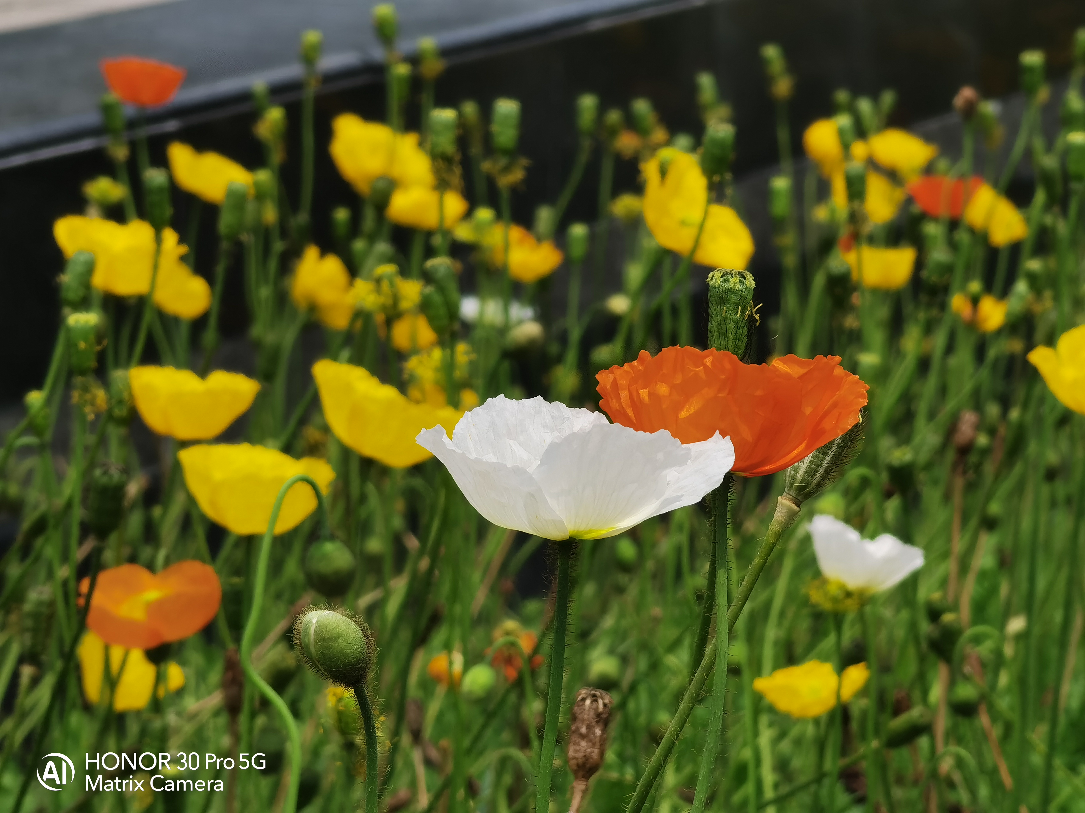 颜值能打100分吗,颜值能打三分吗