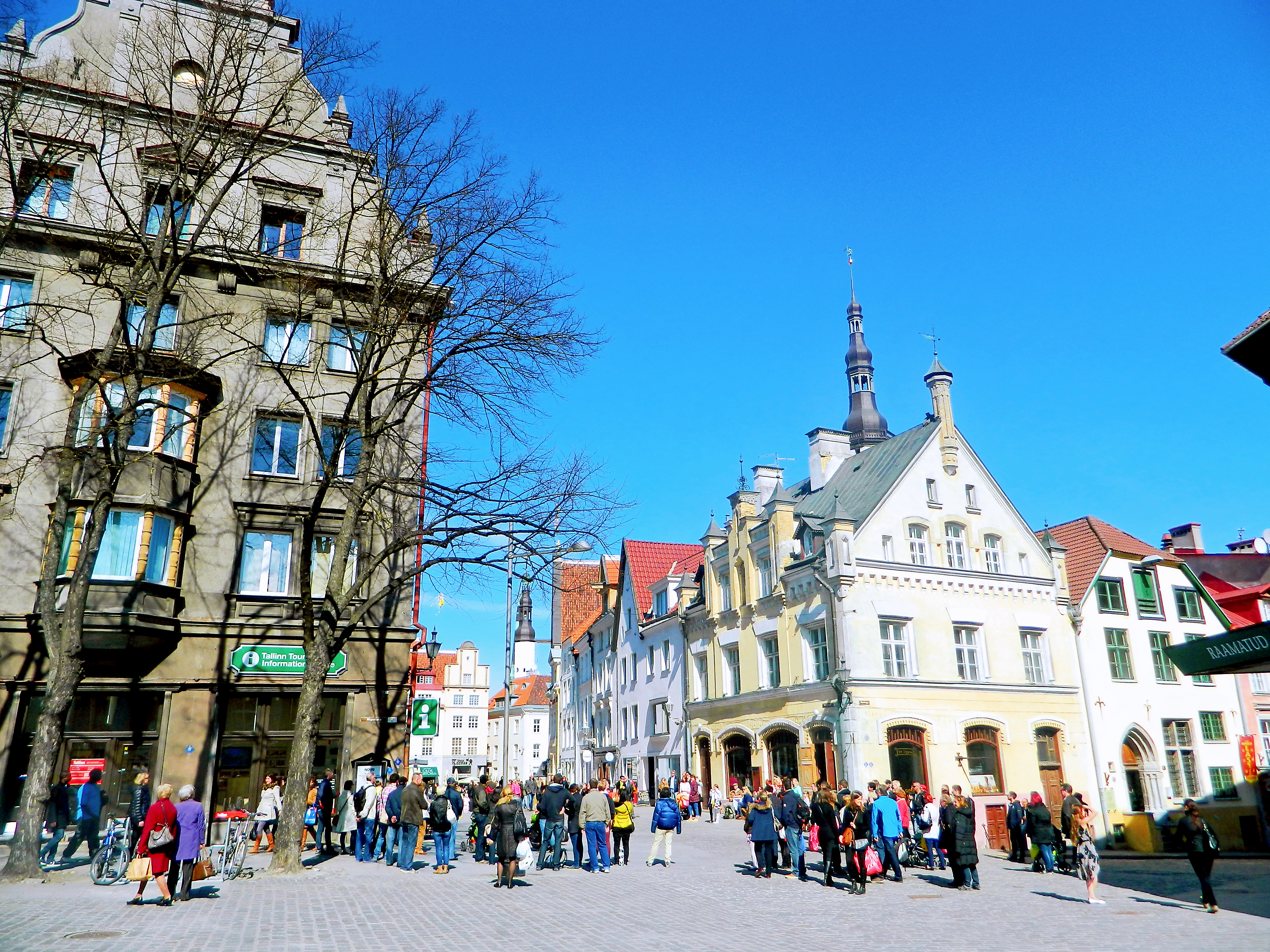 塔林里面有什么,塔林波罗的海舰队