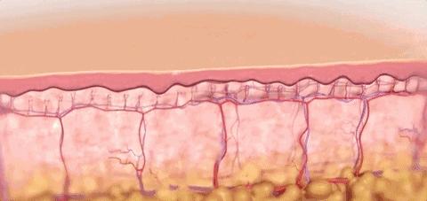 小茂医生美白护肤品,小茂教你如何护肤