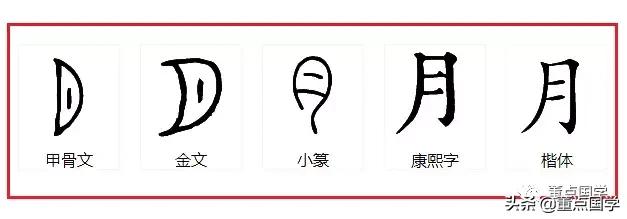 古诗词里的月亮说:一画月亮就是圆月,从前的常识如今少人知晓