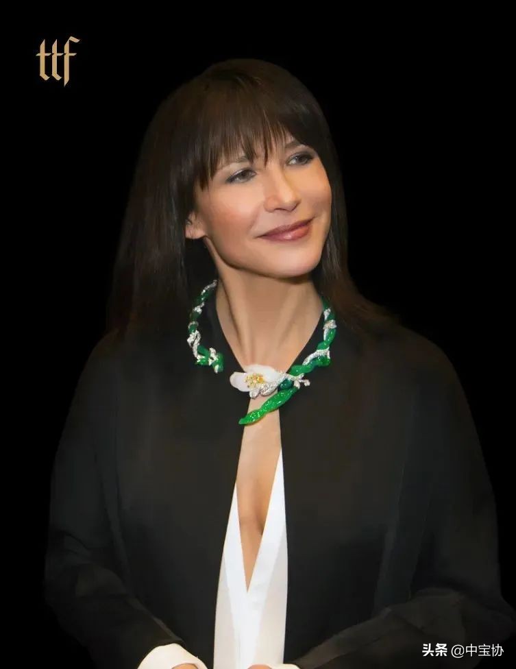 珠宝战疫大讲堂公益,全国抗击疫情大讲堂