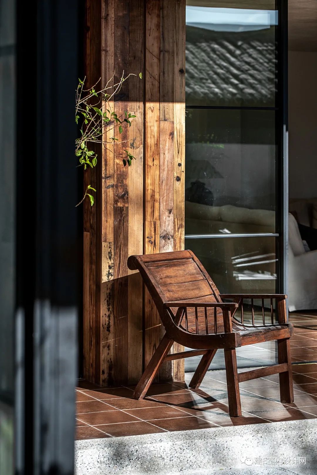 乘风破浪谢柯,谢柯个人简历