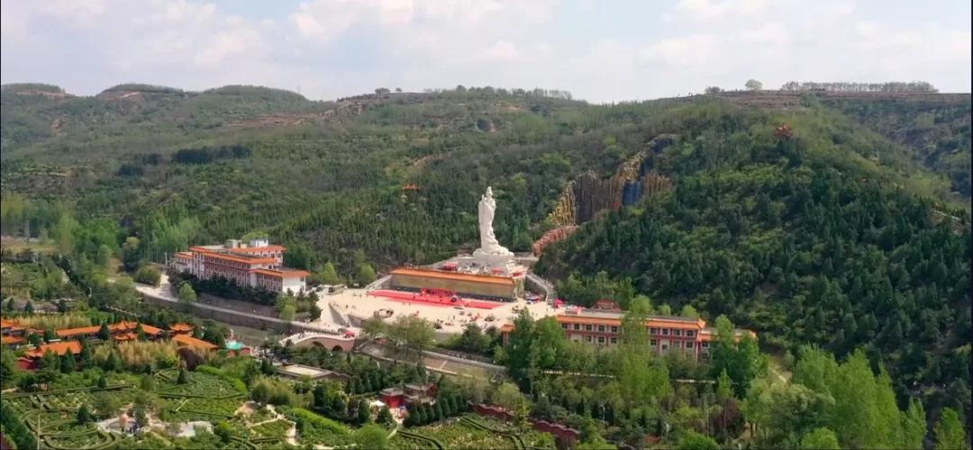 古县千年牡丹花视频,山西临汾古县看千年牡丹