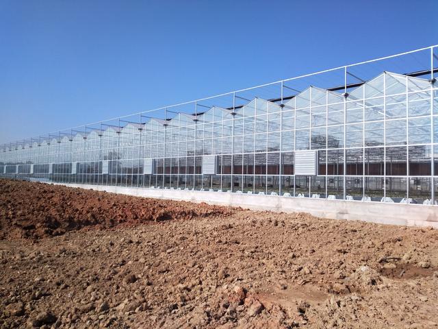 温室大棚有哪些优点,蔬菜大棚和温室大棚有什么不一样