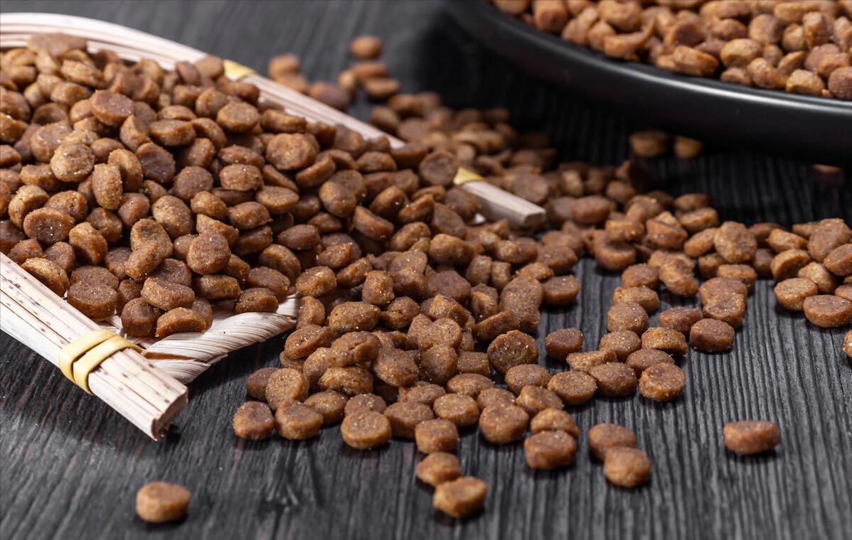 挑食的泰迪吃哪种狗粮,泰迪挑食泡狗粮用勺子喂