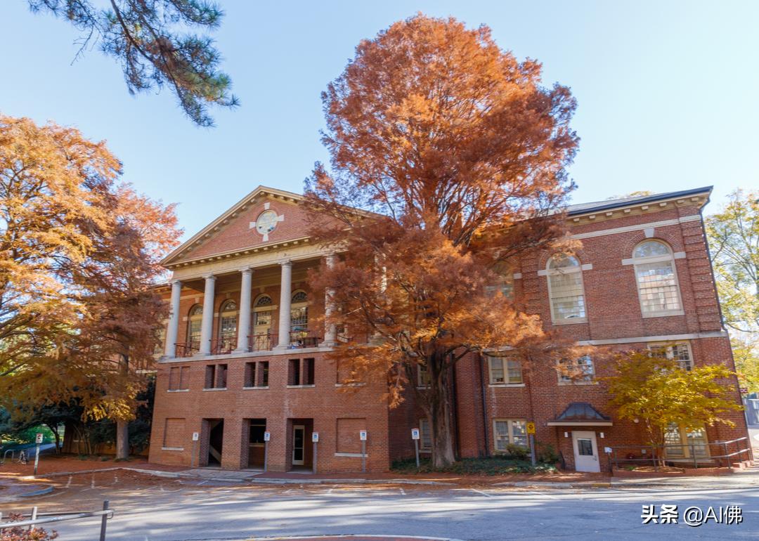 美国前100名大学,美国100所顶尖公立大学