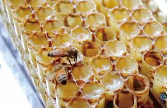 日本女生美白方法,日本美女美白皮肤