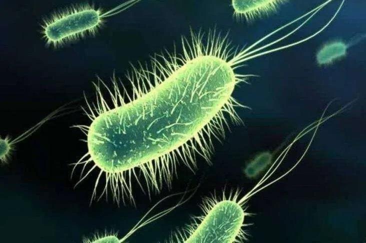 生活用品日常清洁小妙招,日常生活卫生如何打理好