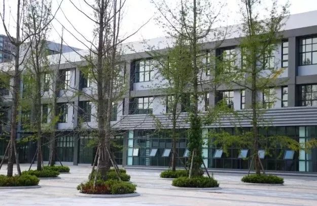 霍森斯与蒙彼利埃小学,泡小天府校区与石室天府附小比较