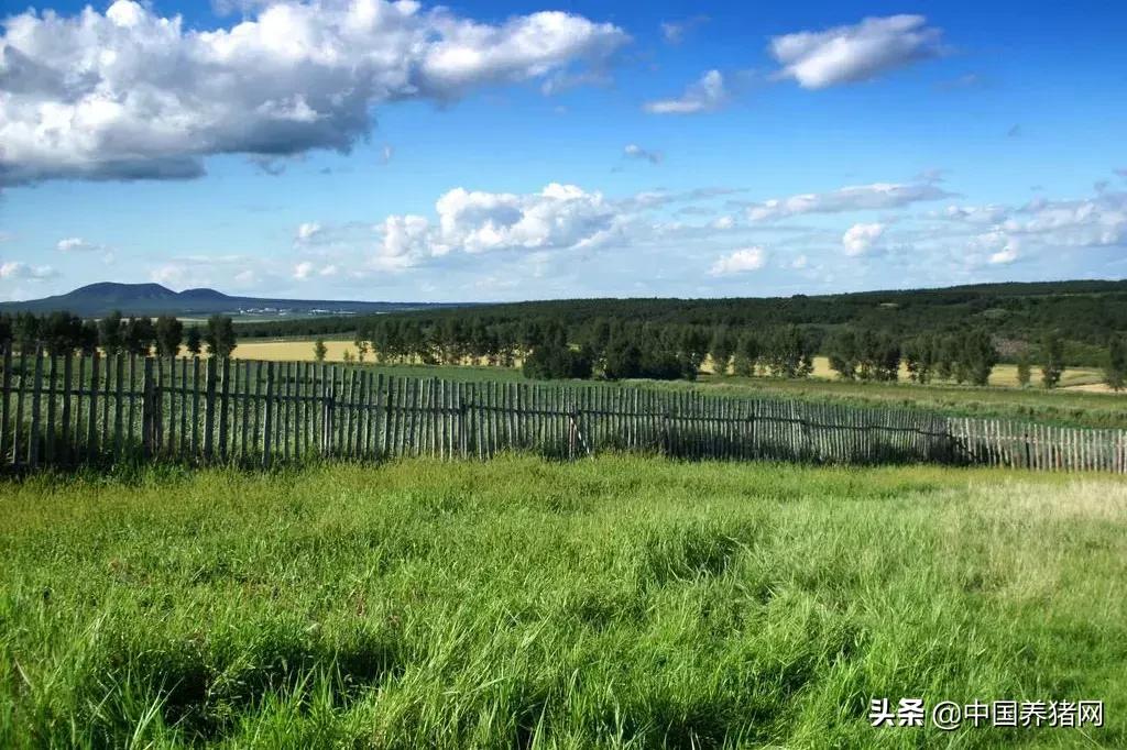 2021四川家庭农场补贴标准一览表,2022年家庭农场都有什么补贴政策