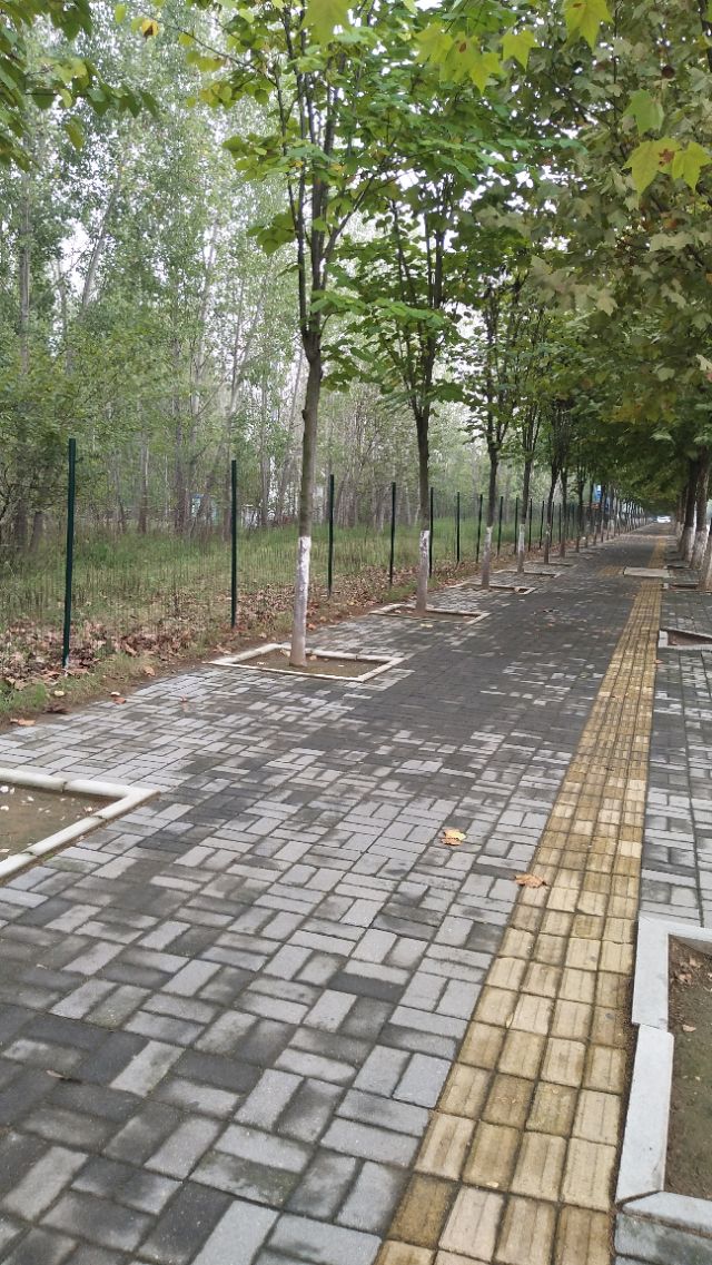 南阳李宁体育园的健身房,李宁体育园南阳