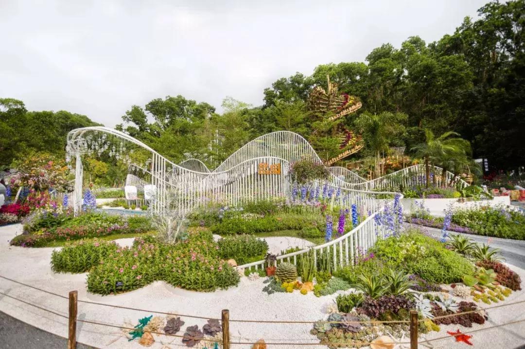 未来10天预警,深圳最最最最火的地方在这里,美女都赶来打卡