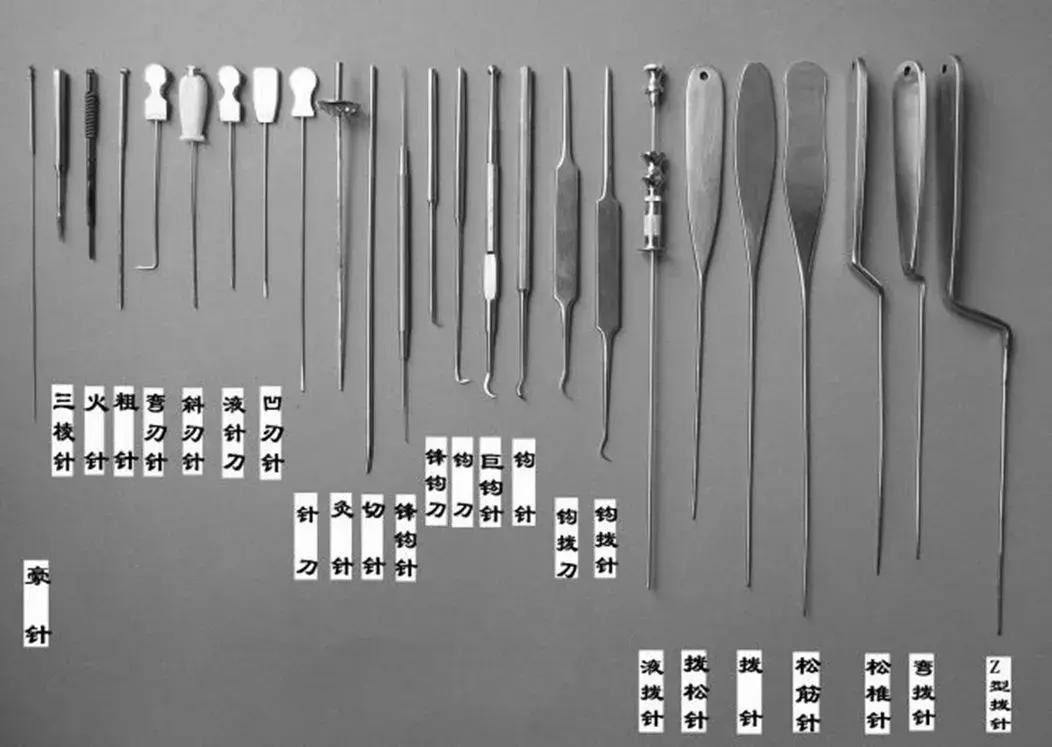 立新七针的成长之路