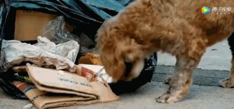 谢谢你治好了我的心脏,谢谢你治好了我的低血压