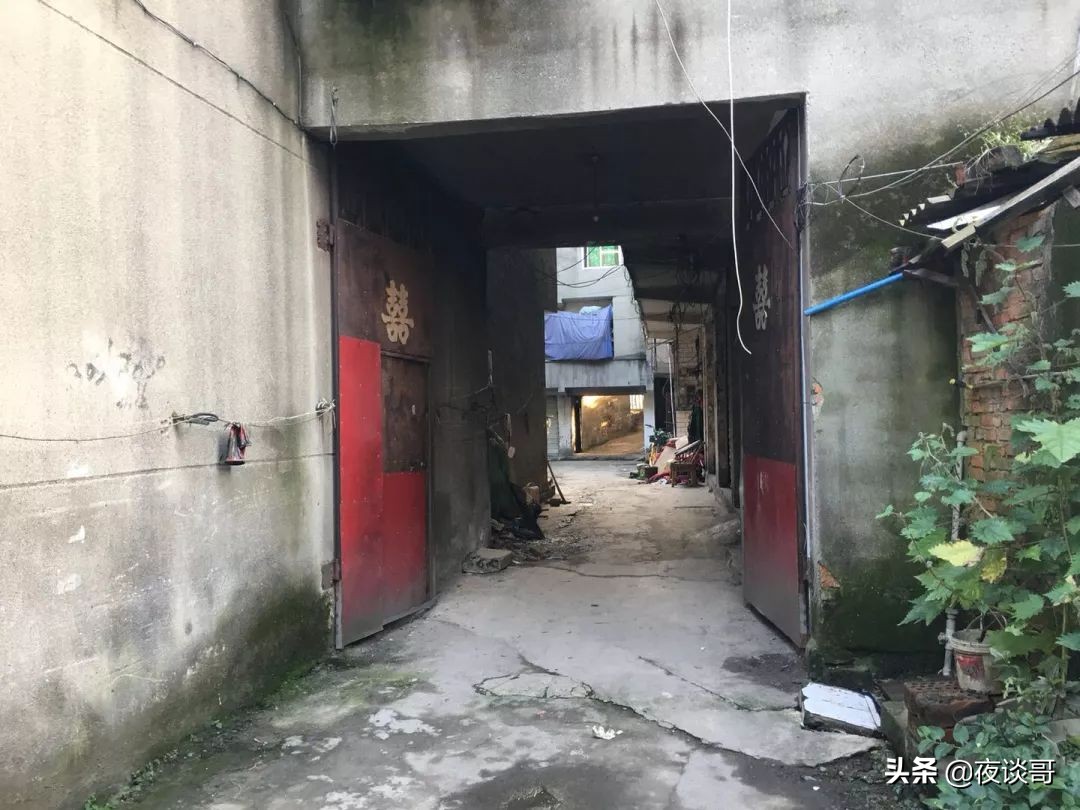 来成都感受这里的慢生活,来成都一年的感受