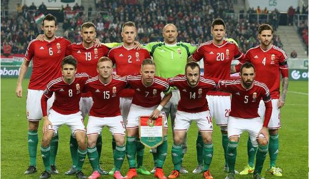 2020年欧洲杯24强巡礼,欧洲杯2024巡礼之荷兰