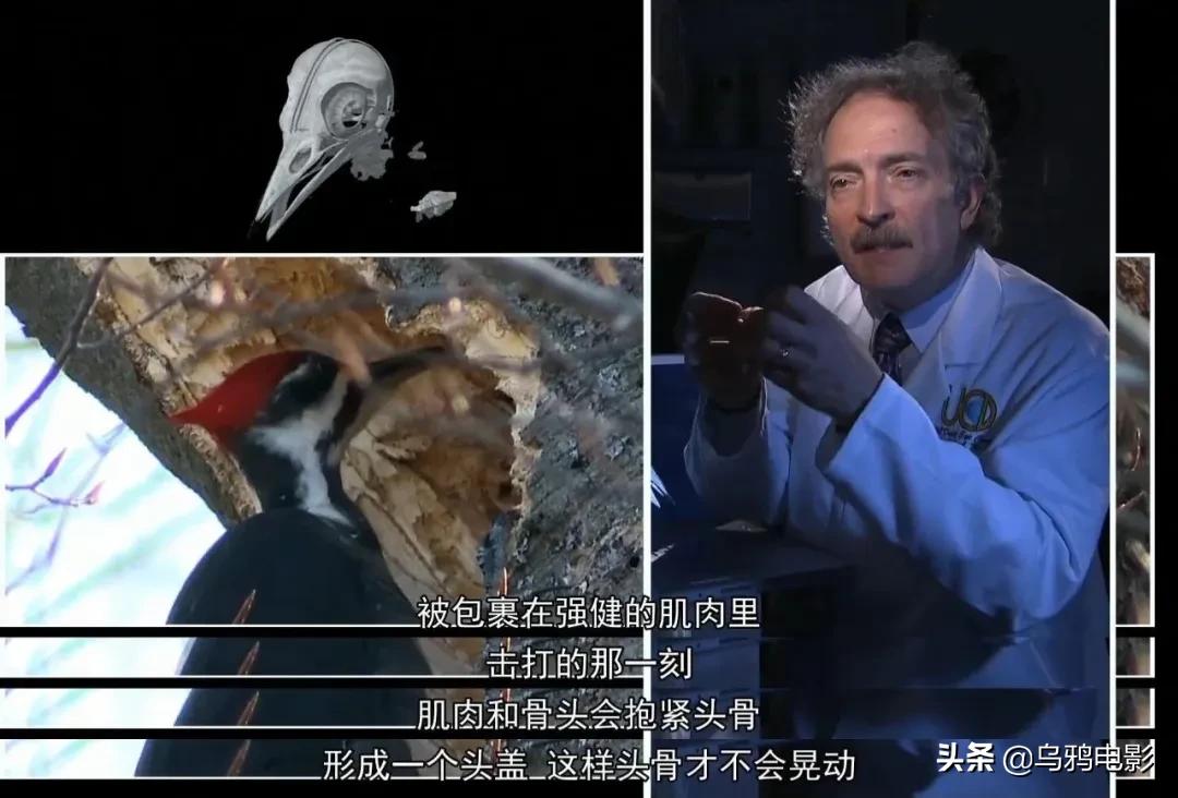 太硬核了全场高能视频,太硬核了全场高能