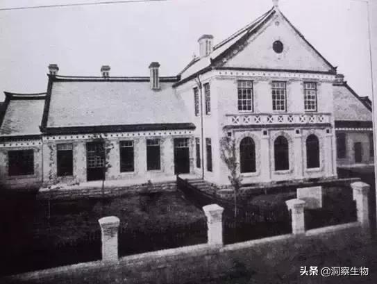 并入山东大学后实力下滑严重，“东齐鲁”已不负盛名