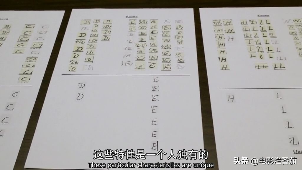 世界著名连环杀手纪录片,纪录片美国华裔富豪