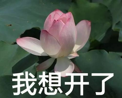 没干透的*裤内**直接穿，小姐姐住进医院！吓得我赶紧看看最近天气…